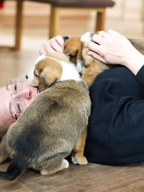 Ein Zuhause voller Tiere & Natur